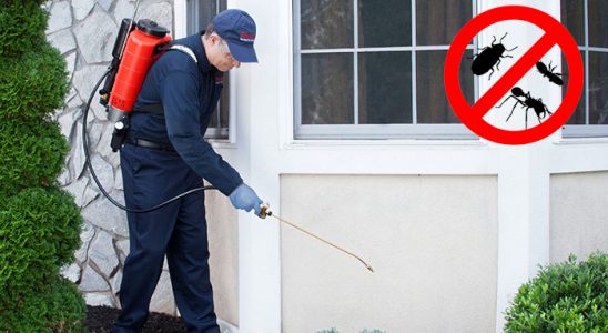 Kuluncak Kene İlaçlama böcek ilaçlama ve haşere kontrolü — ilaclama-tr.com